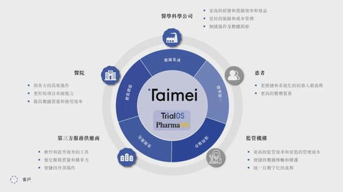 IPO觀察 金榜題名還是潛龍在淵？八家科技與新興領域企業排隊上市解析