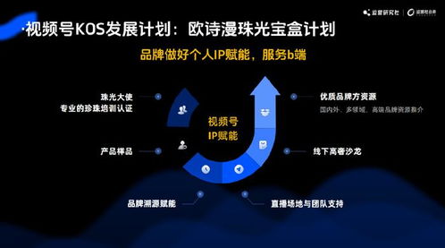 2024年五大運營新玩法 互聯網終點的小浪淘金——上?；ヂ摼W銷售公司啟示錄